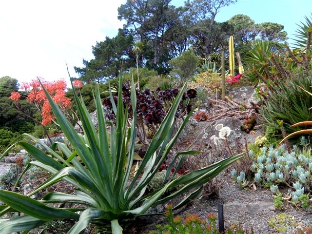 Garten2